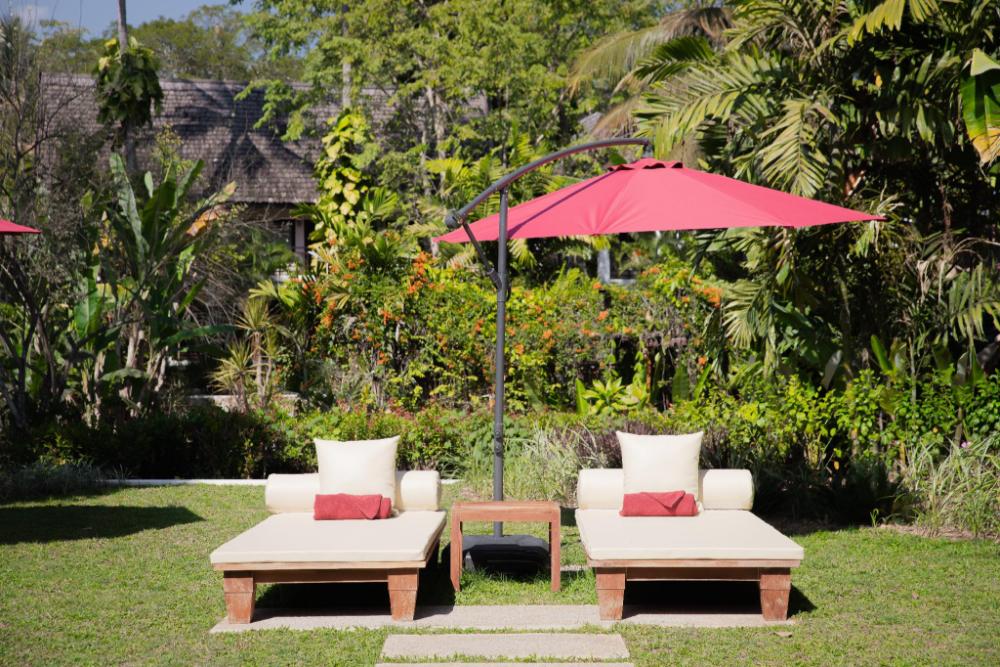 parasol blanc luang prabang