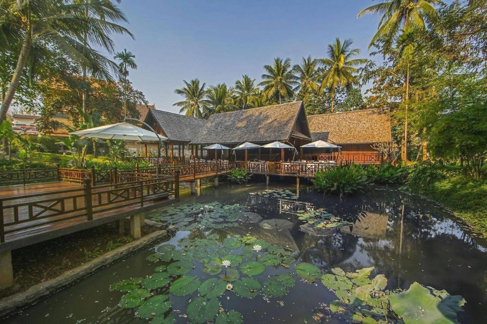 parasol blanc luang prabang