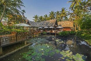 parasol blanc luang prabang