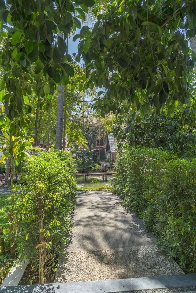 parasol blanc luang prabang