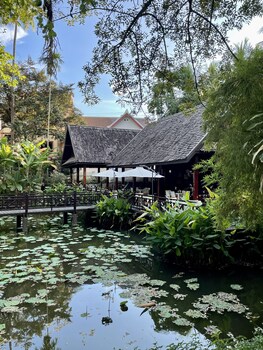 parasol blanc luang prabang