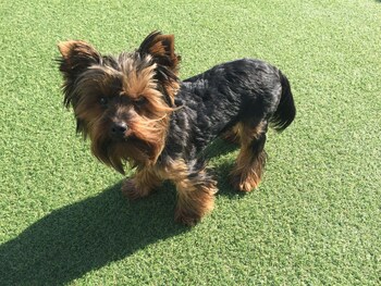 gqeberha port elizabeth