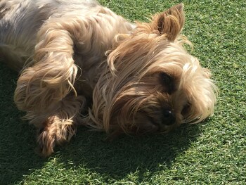 gqeberha port elizabeth