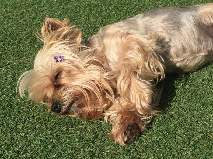 gqeberha port elizabeth