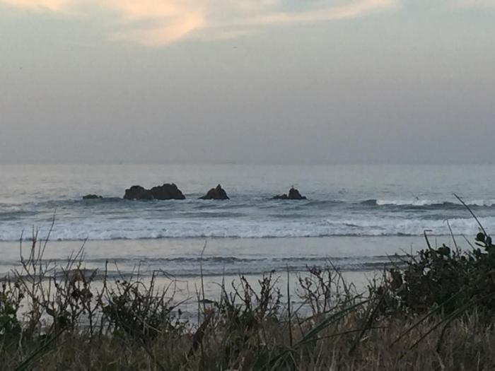 gqeberha port elizabeth