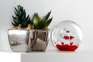 gqeberha port elizabeth