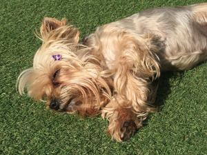 gqeberha port elizabeth