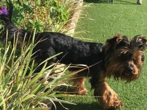 gqeberha port elizabeth