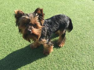 gqeberha port elizabeth