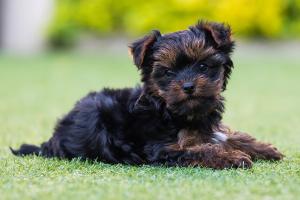 gqeberha port elizabeth