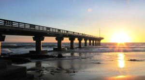 gqeberha port elizabeth