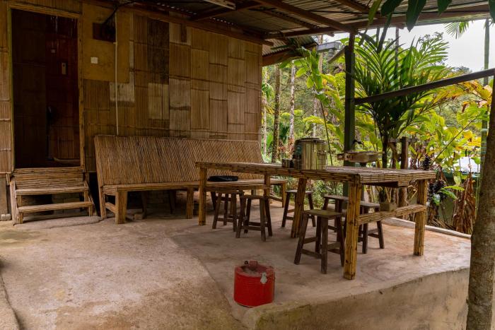rain forest inn