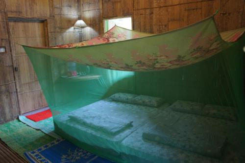 rain forest inn