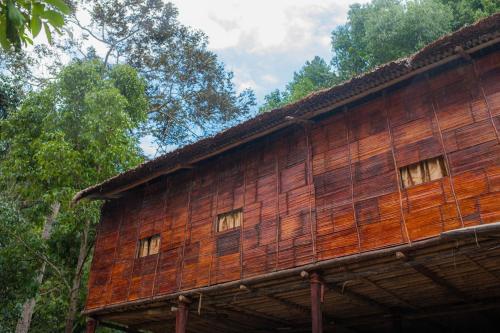 rain forest inn