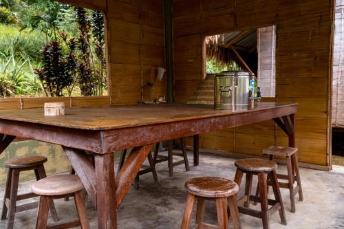 rain forest inn