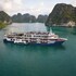 rosa cruise halong