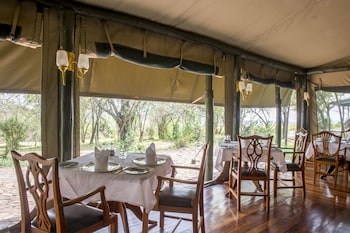 serengeti