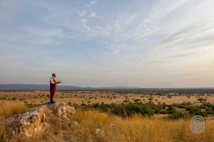 serengeti