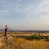 serengeti