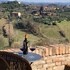 siena