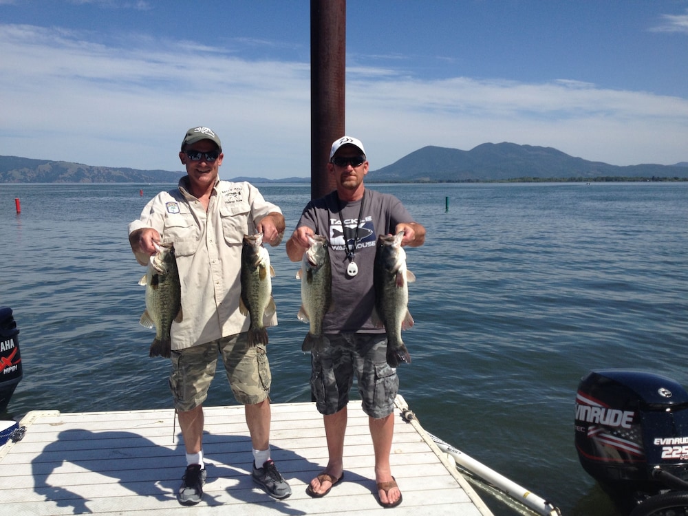 skylark shores resort