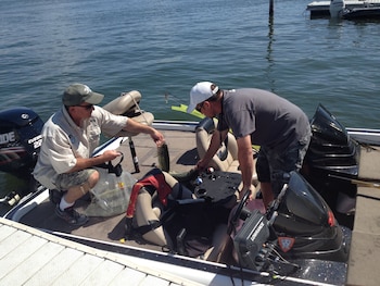 skylark shores resort