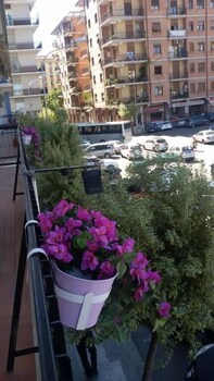 bandb san francesco