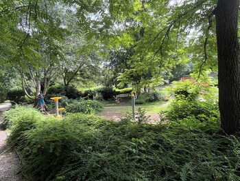 haus am see