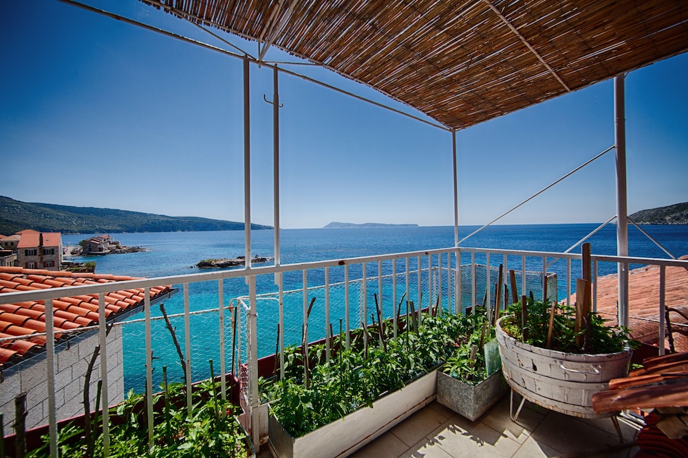 mira sea front guesthouse