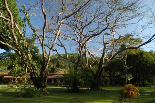 jaco hotel docelunas