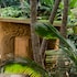 sea u guest house