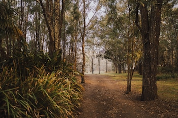 the boathouses at leaves and fishes