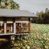 the boathouses at leaves and fishes