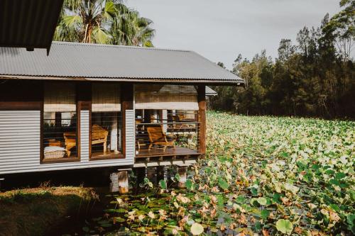 the boathouses at leaves and fishes