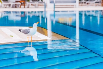 mark warner phokaia beach resort