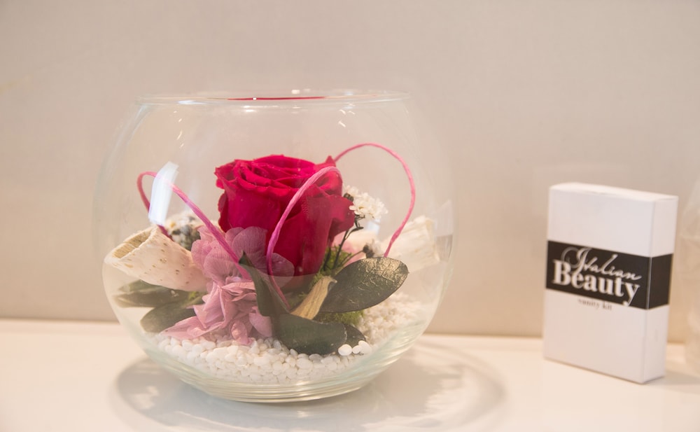 hotel ristorante primavera