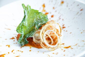 hotel ristorante primavera