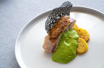 godega di santurbano