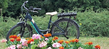 ibis chateau thierry