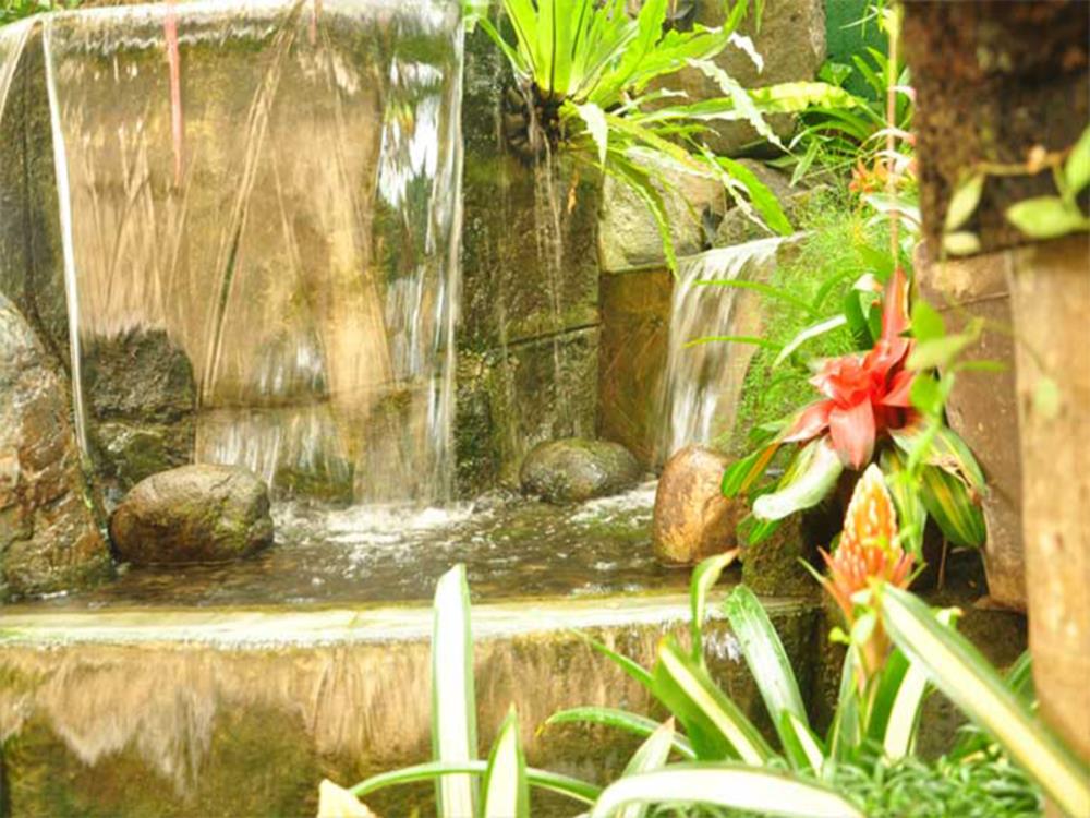 casa verde boutique hotel and gardens