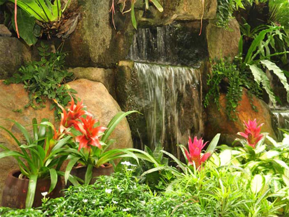 casa verde boutique hotel and gardens