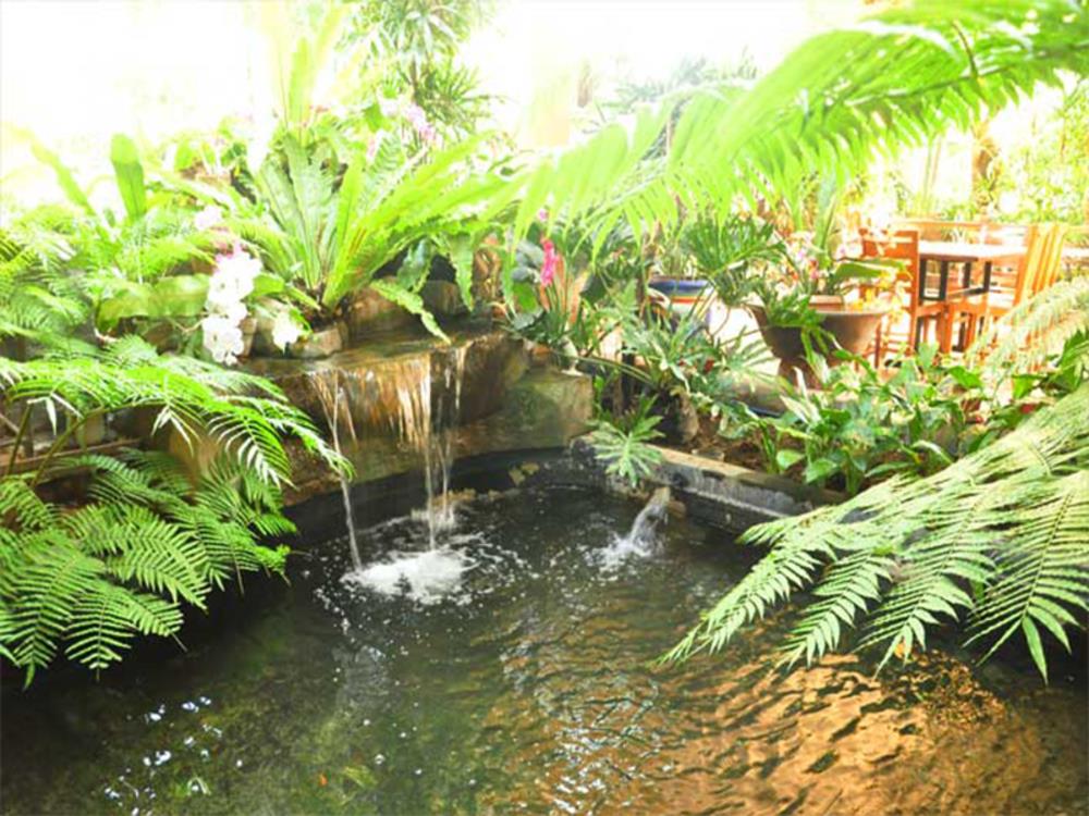 casa verde boutique hotel and gardens