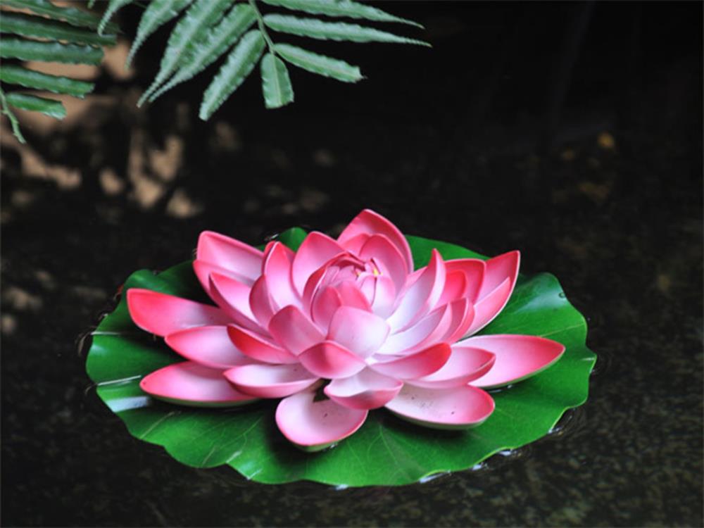 casa verde boutique hotel and gardens