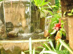 casa verde boutique hotel and gardens
