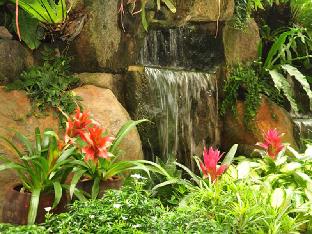 casa verde boutique hotel and gardens