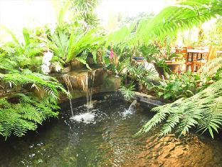 casa verde boutique hotel and gardens