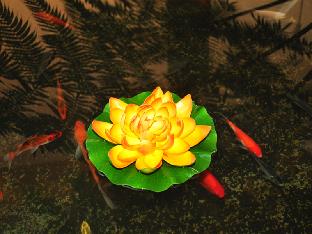 casa verde boutique hotel and gardens