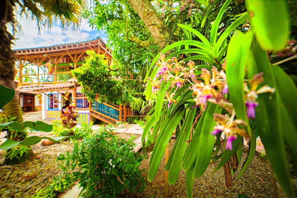 eco hotel las palmas