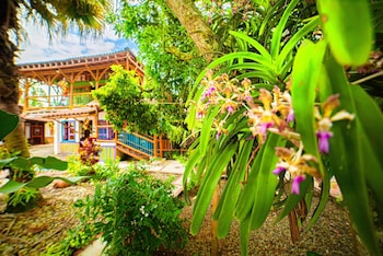 eco hotel las palmas