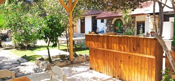 swiss eviniz hotel adults only